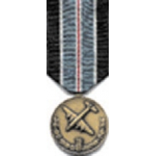 Large Medal for Humane Action Medal